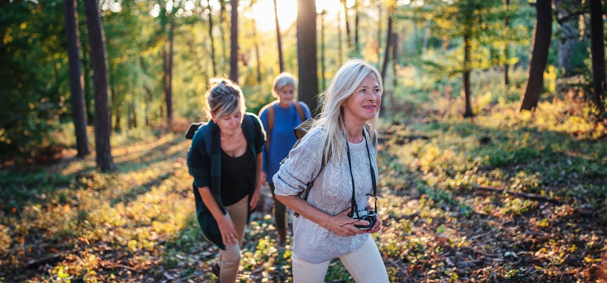 Women exploring the woods together