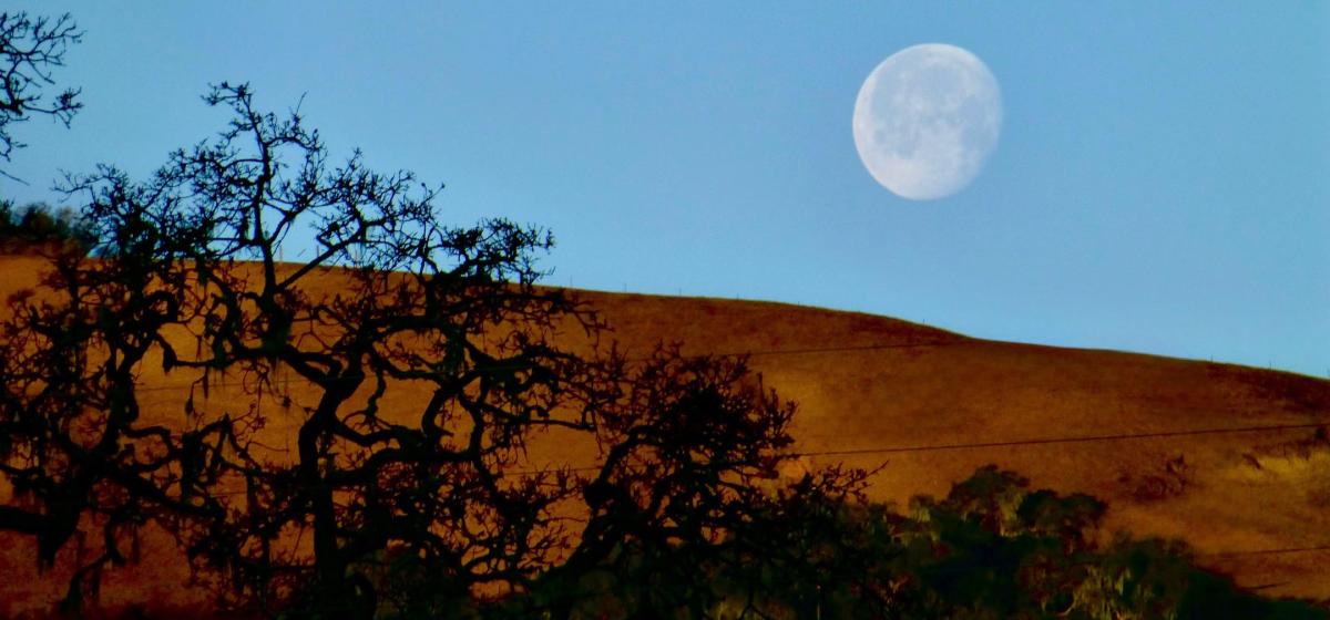 Moon rising over landscape