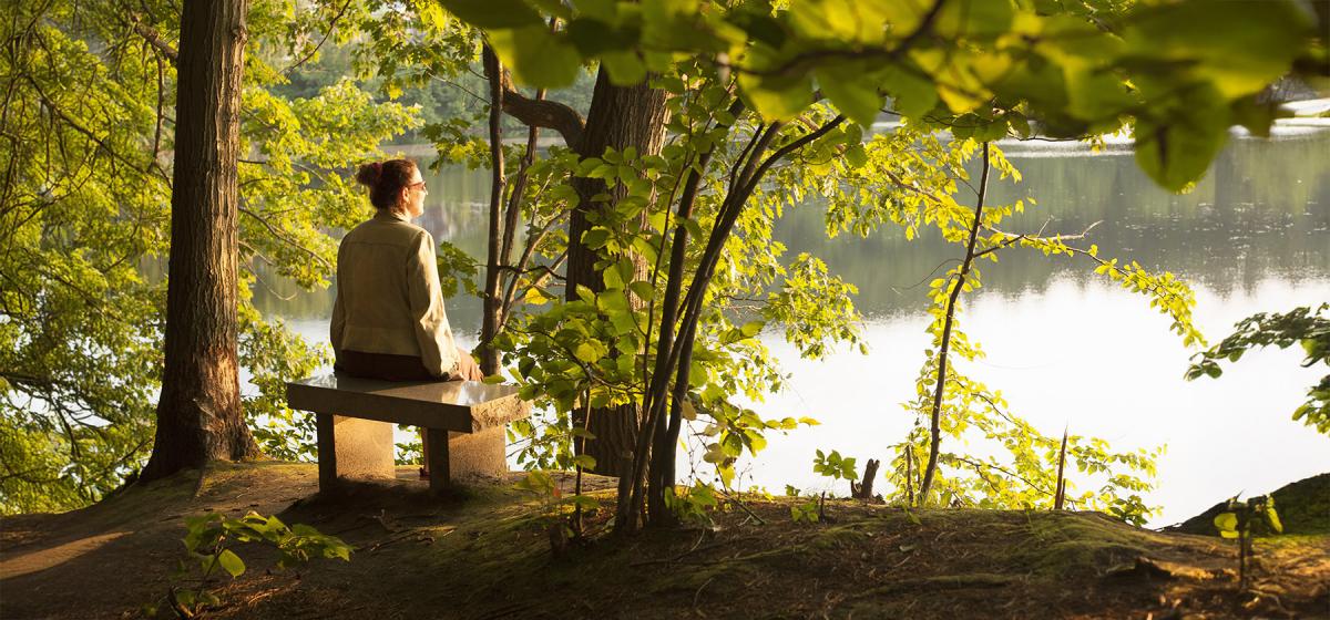 Woman sitting contemplatively on a bench on a lake shore