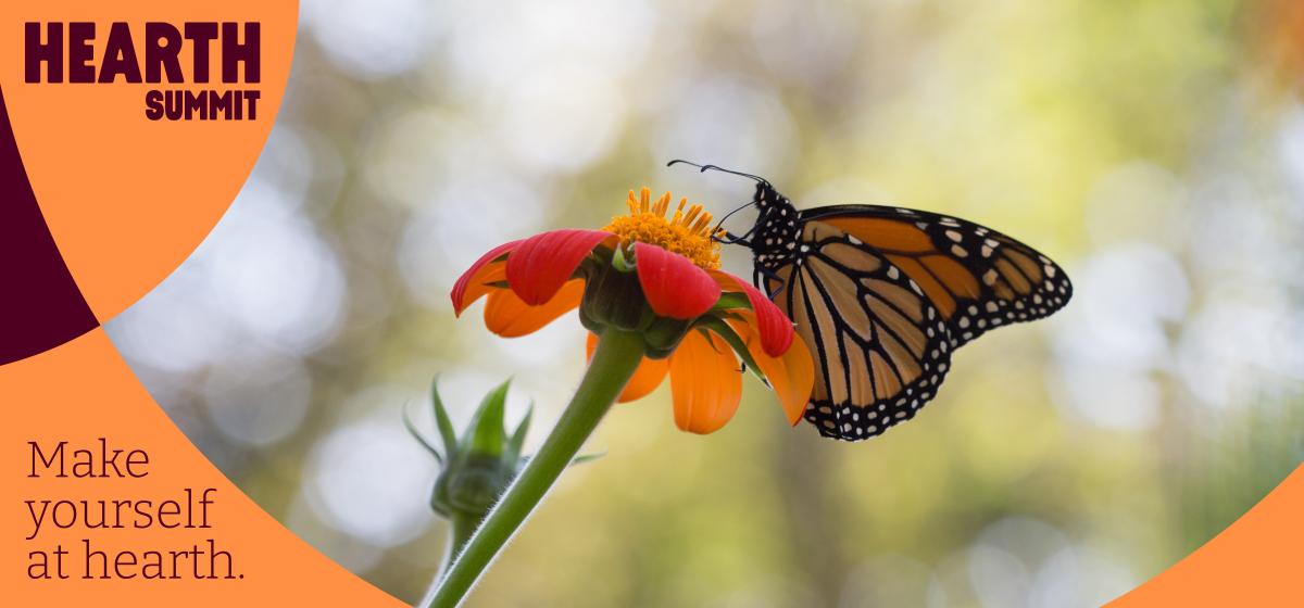 Hearth Summit registration with butterfly