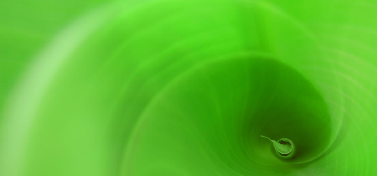 Spiral inside a leaf