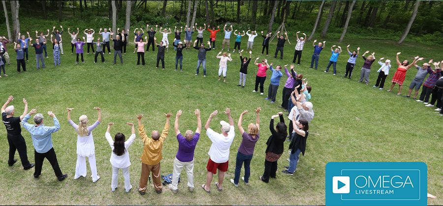 Group of people in Qigong class at Omega