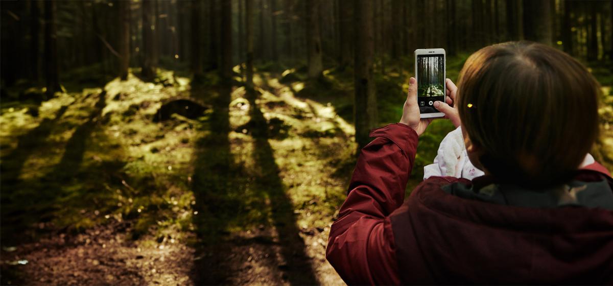 Person meditatively making a landscape photo in the forest