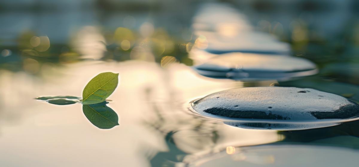 Zen pool at sunset with leaf floating