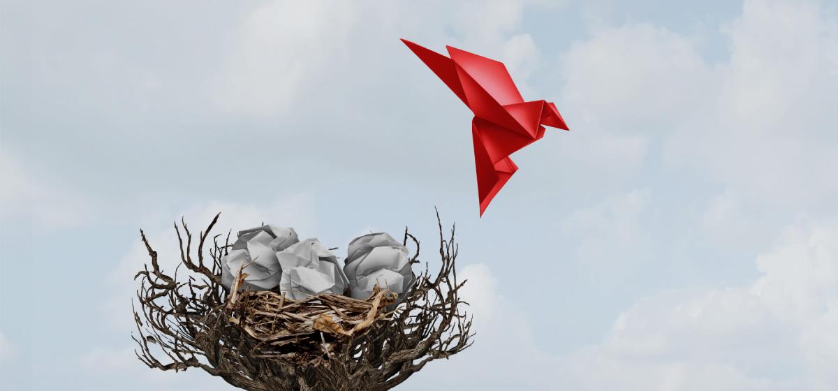 Bird leaving the nest