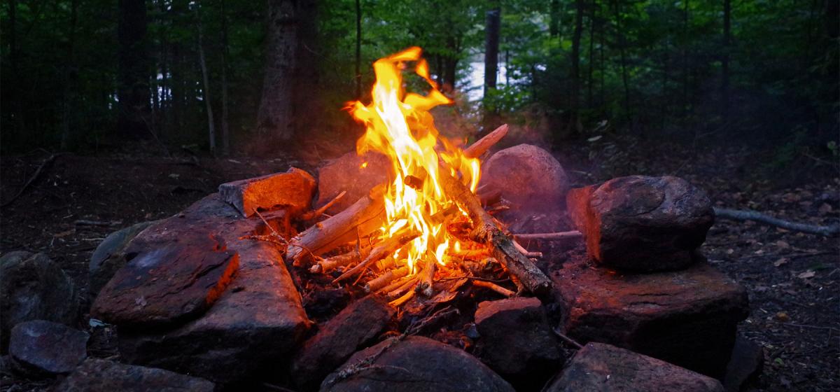 Campfire in the forest