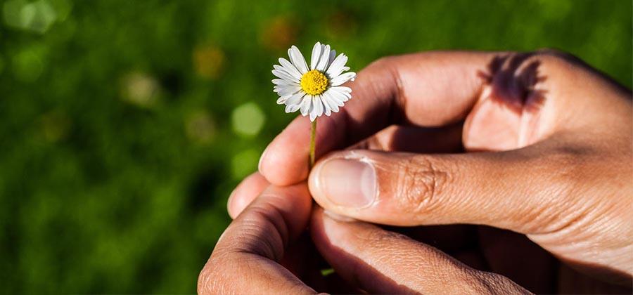 holding a small flower