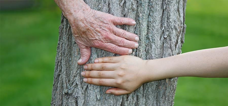 Hands touching a tree together.