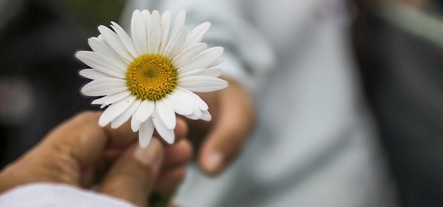 Handing a flower to someone else