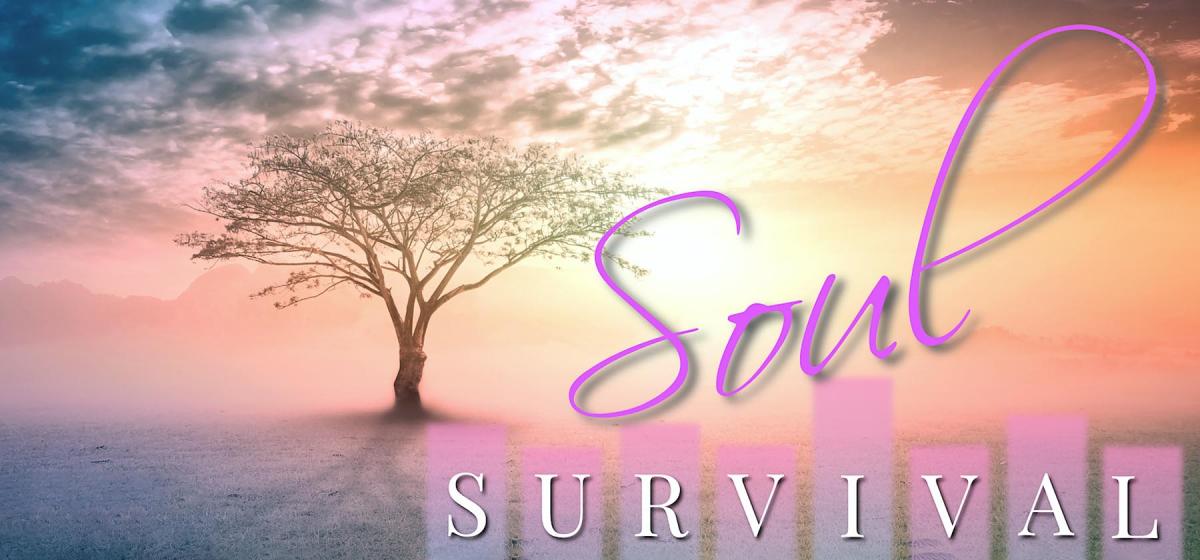 Soul Survival at Omega