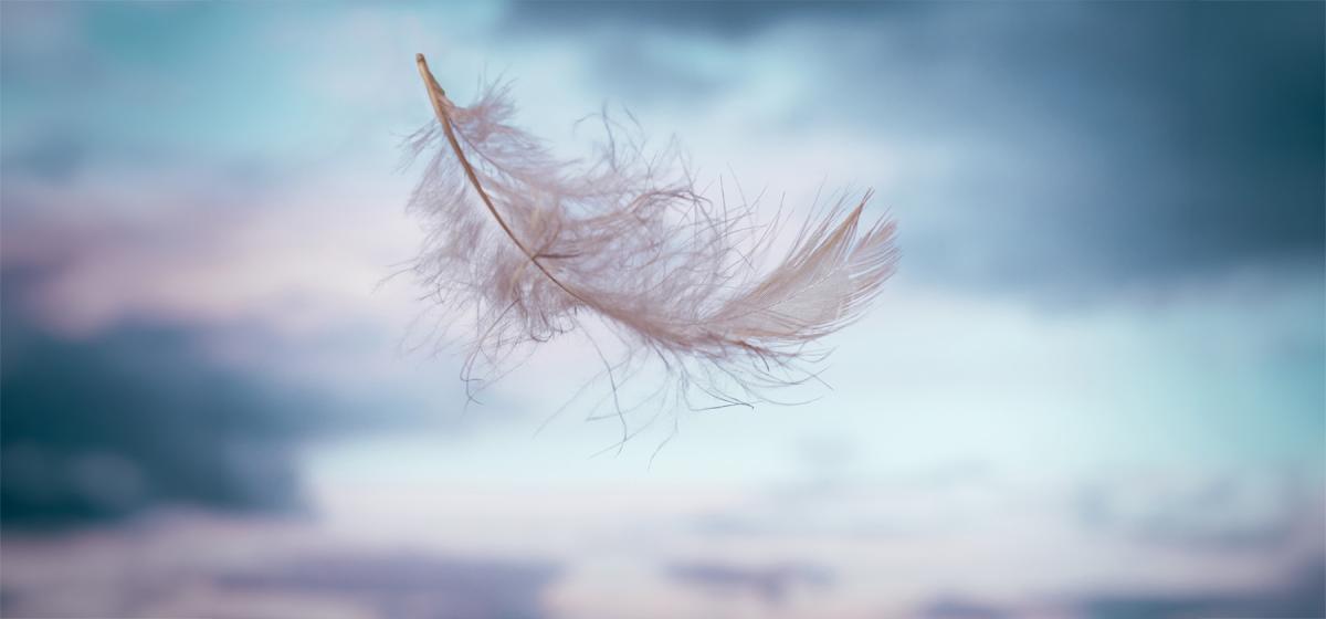 Feather floating in the air