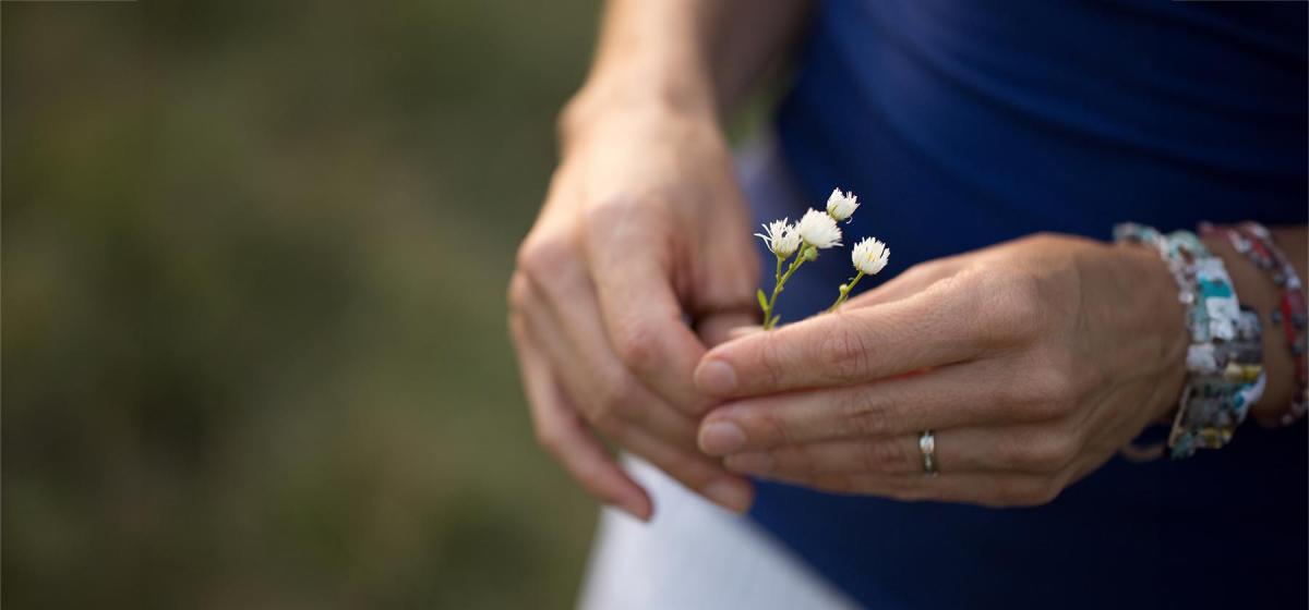 Person gently holding a tiny flower