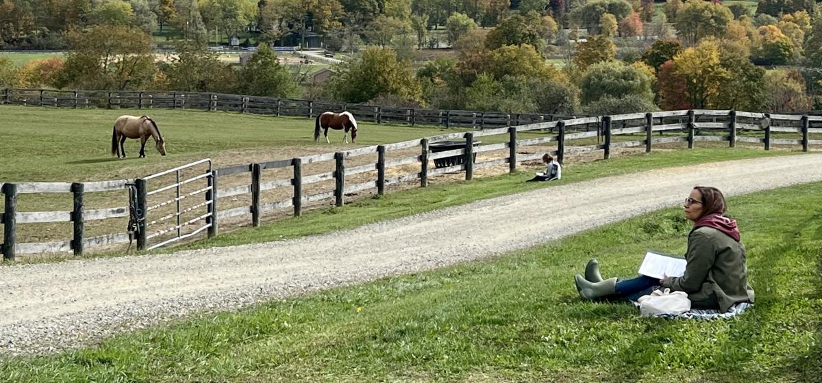 Person sitting and journaling while watching horses