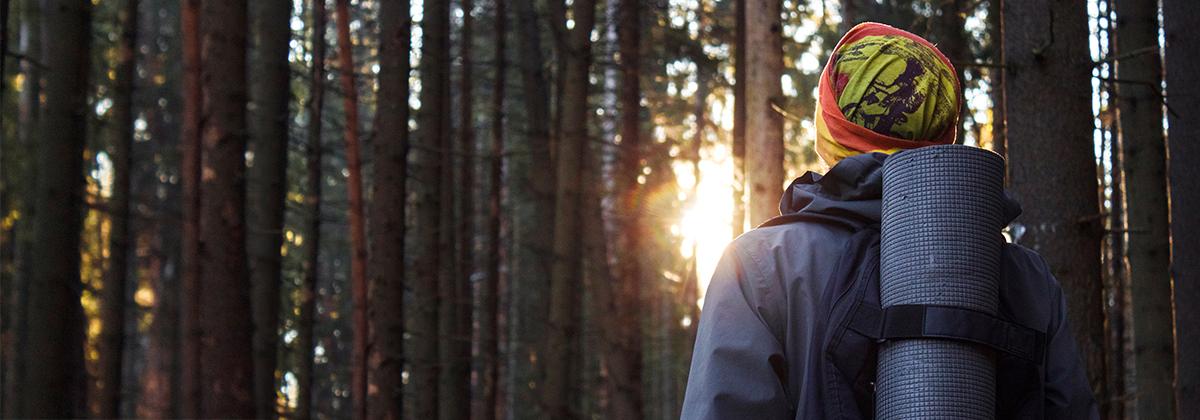 Person hiking in the woods