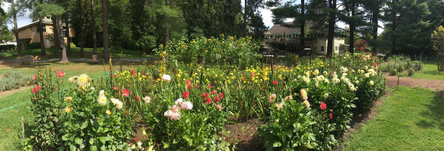 Omega's Garden in September