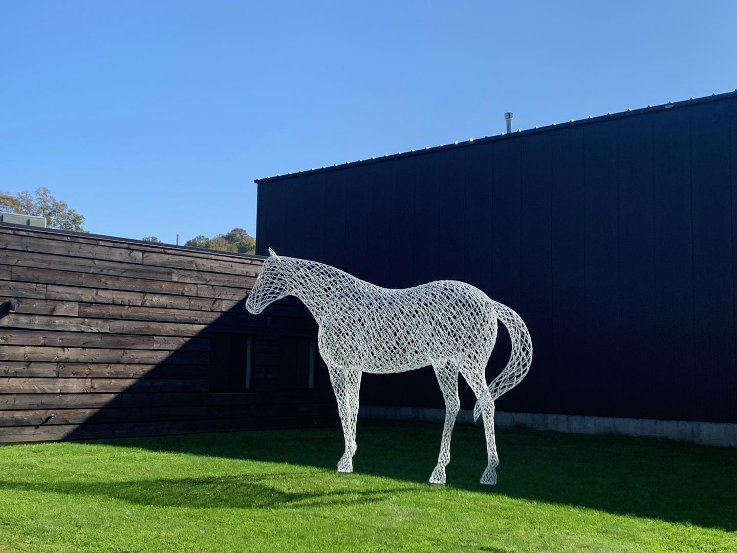 Peter Busby: White Horse
