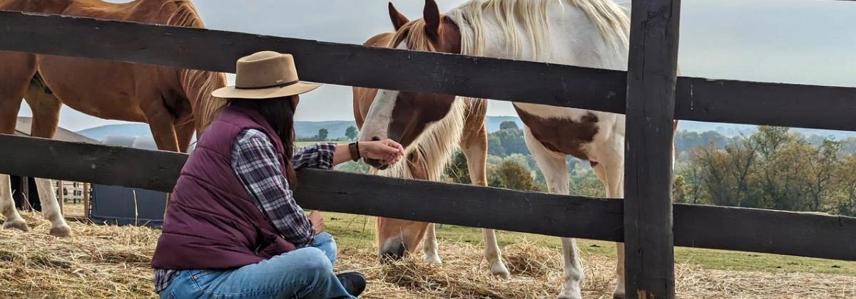 Woman in a cowboy hat sitting by a fence feeding a horse, symbolizing mindfulness, connection, and lessons from observing horses about creating space in life.