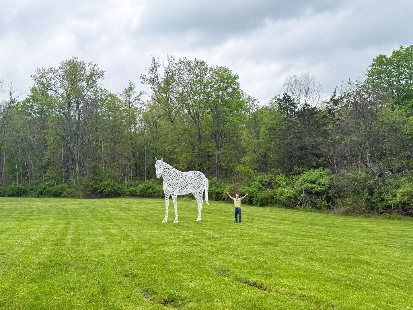 Peter Busby: White Horse