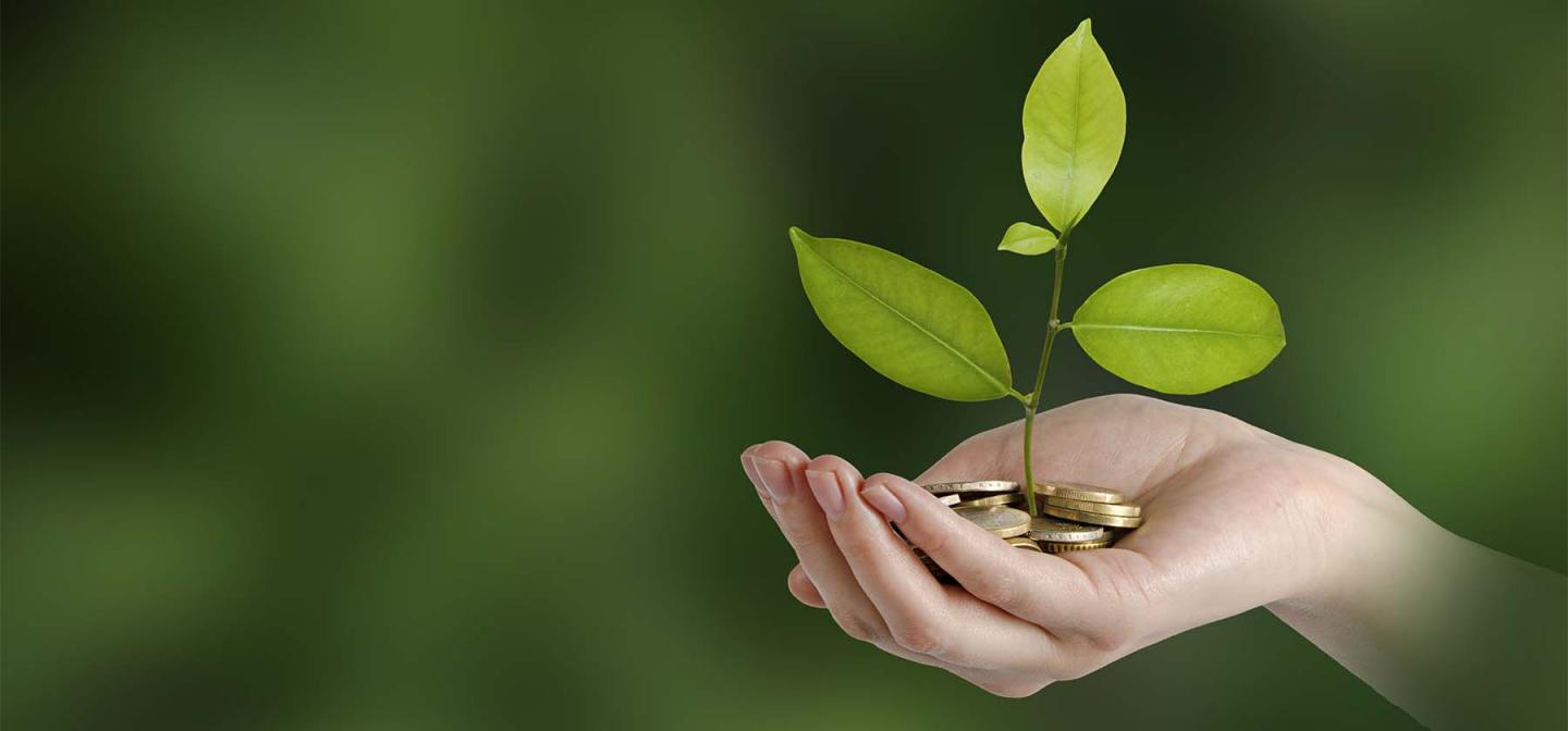A small green plant sprouting from a handful of coins, symbolizing growth, sustainability, and values-based investing