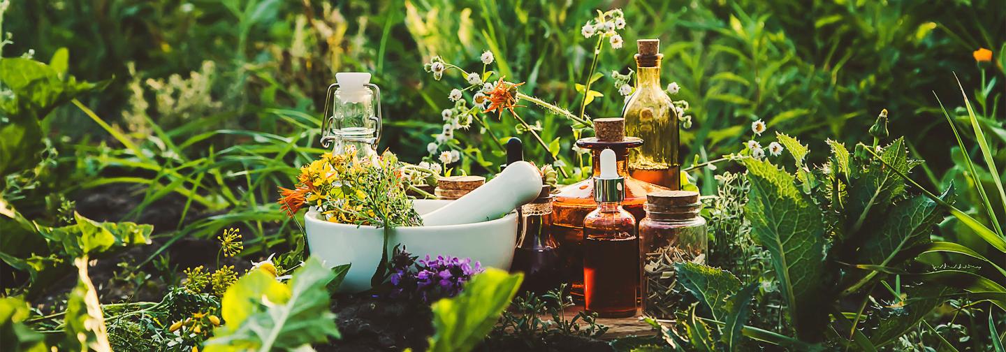 Flowers, plants, and bottles of herbal tinctures