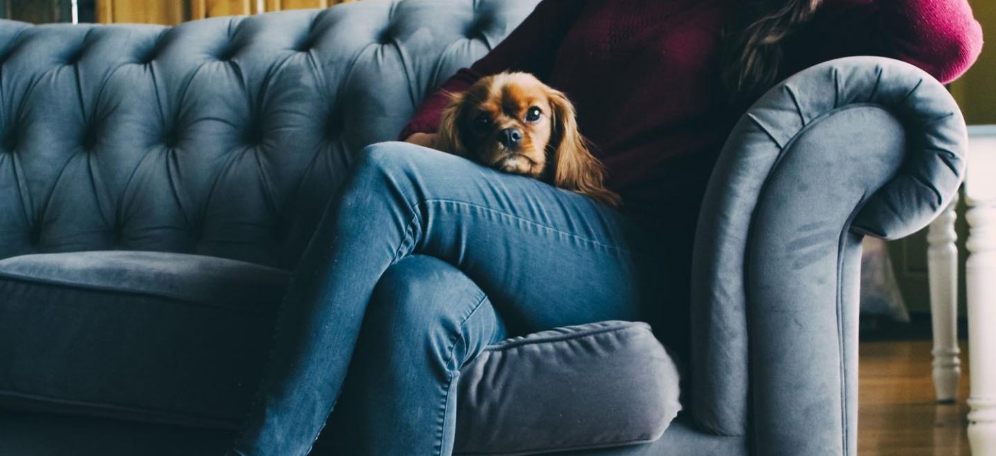 Person on a sofa with dog, symbolizing comfort and reflection for '10 Spiritual Movies to Watch Tonight' by Omega.