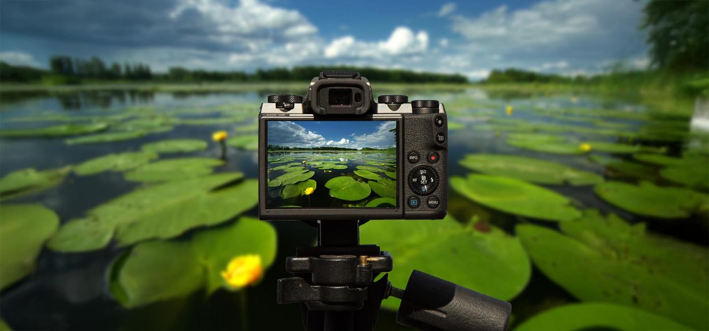 Camera on tripod capturing vibrant water lilies on a serene lake, symbolizing creative expression workshops at Omega Institute's Arts Week.