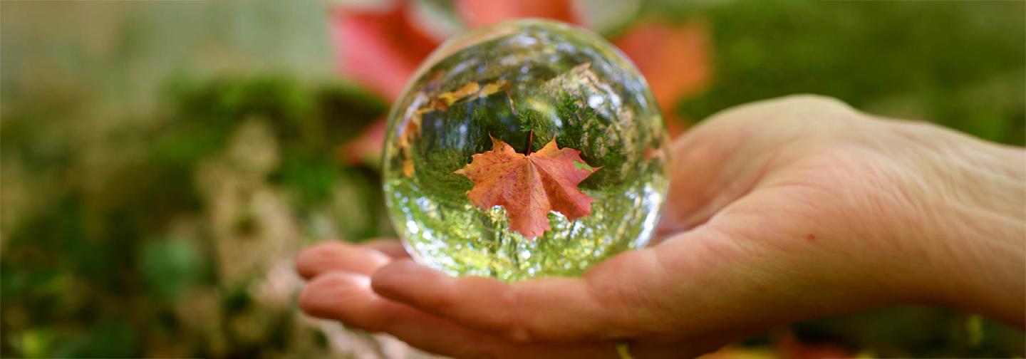 Hand holding a glass sphere reflecting an autumn leaf, symbolizing perception, consciousness, and holistic healing.