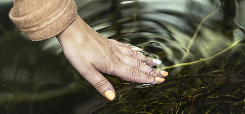 Hand gently placed in water with ripples, representing sensory awareness and nervous system regulation.