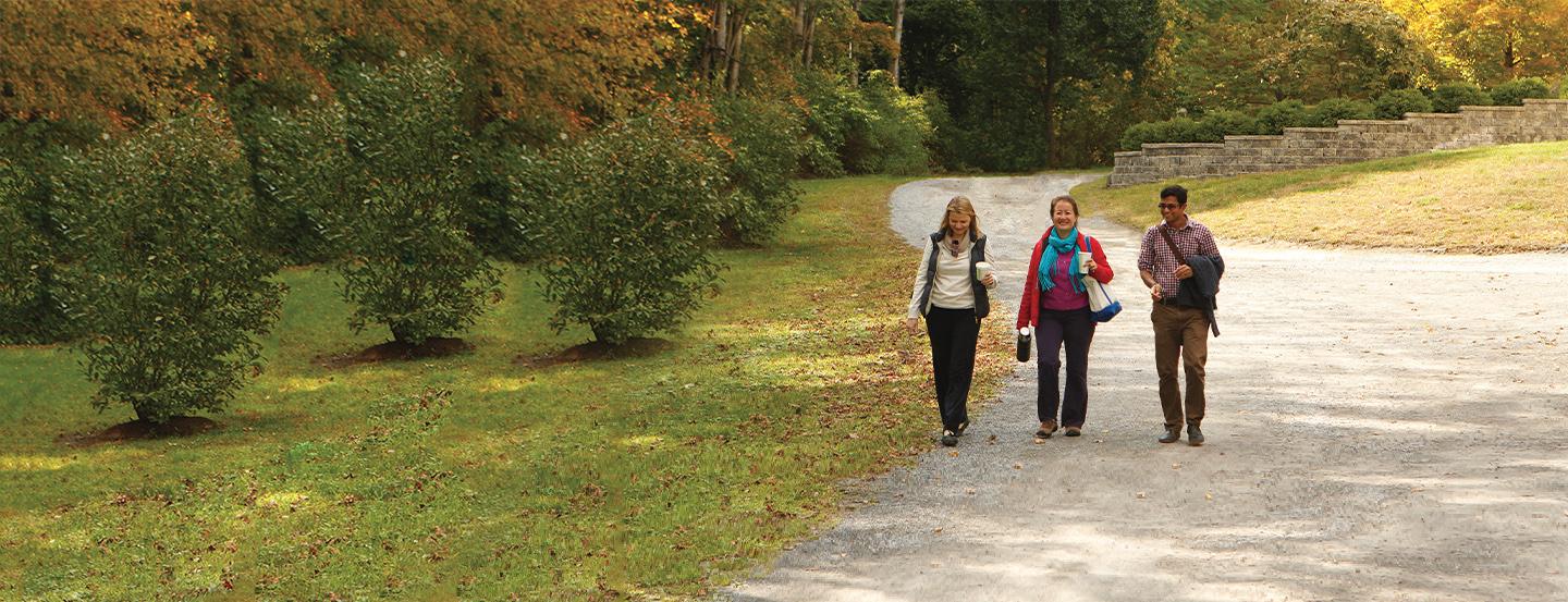 3 people walking down a path