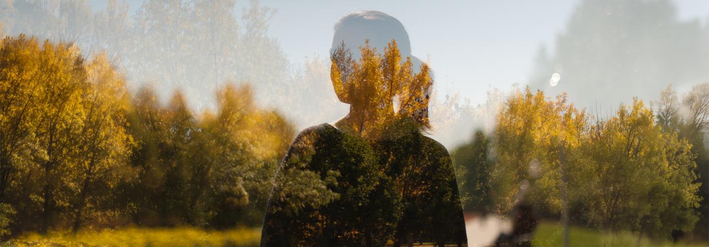 Silhouette of a person blended with a sunlit forest, symbolizing healing, self-discovery, and inner transformation.