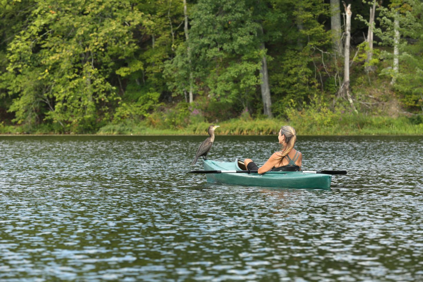 Kayaking on Long Pond Lake 