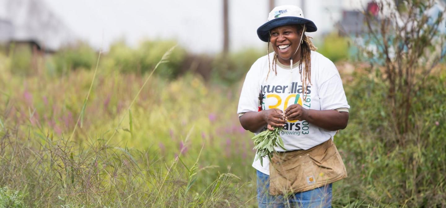 Karen Washington harvesting sage in a field
