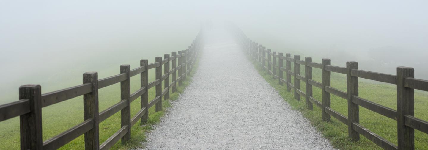 Foggy gravel path between wooden fences disappearing into mist, symbolizing liminal space, personal growth, transition, uncertainty, grief, and new beginnings