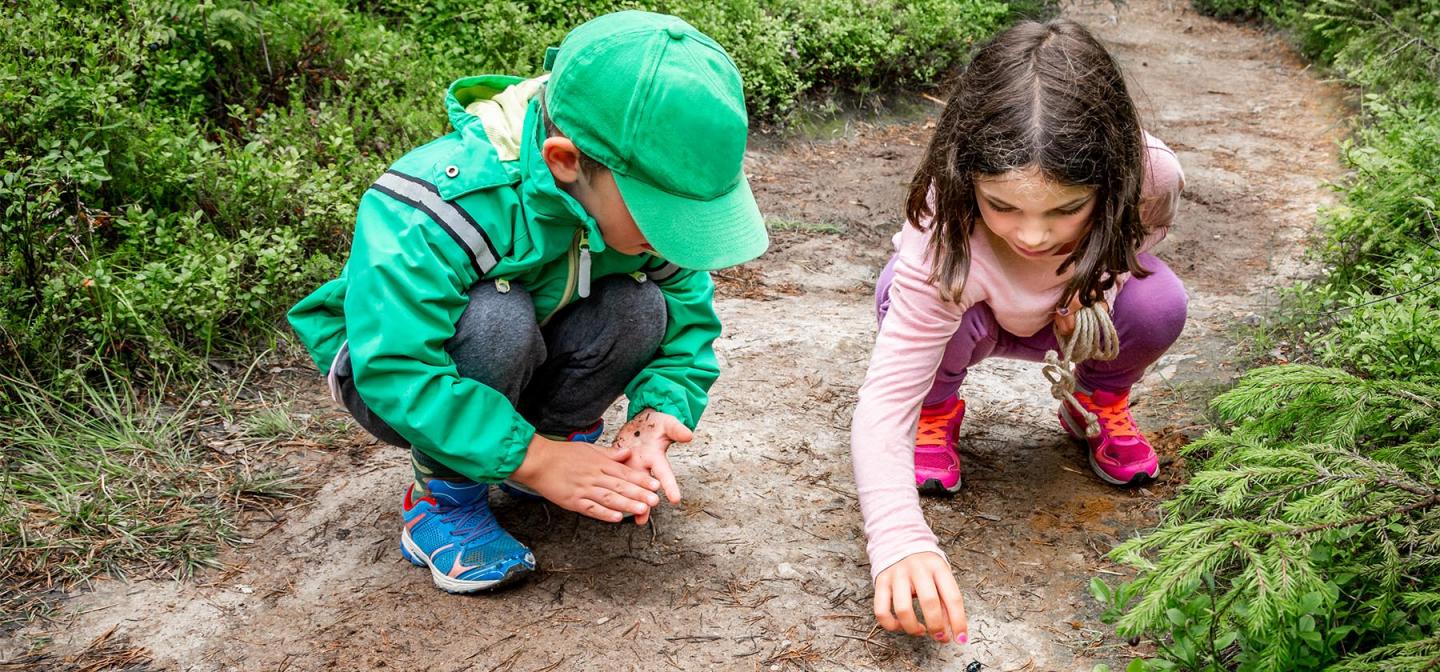 Little Forest People: For Kids Ages 6-12