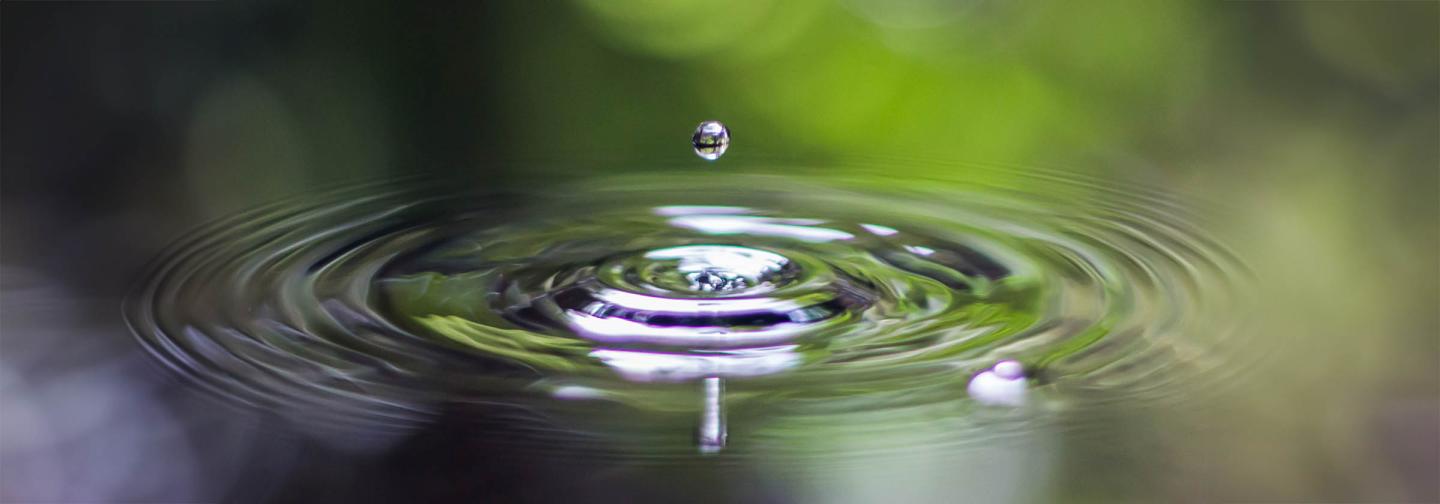 Water ripple from a single droplet representing mindfulness practice and awareness at Omega Institute