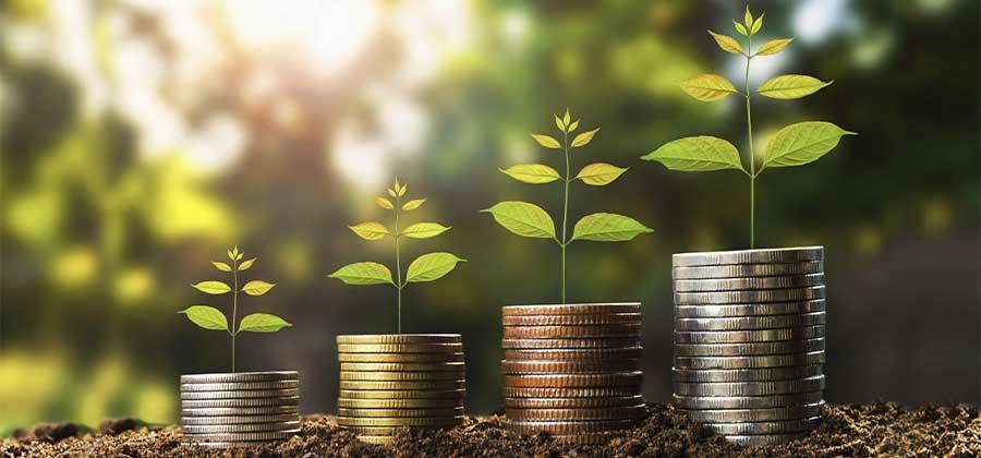 Plants growing out of stacks of coins