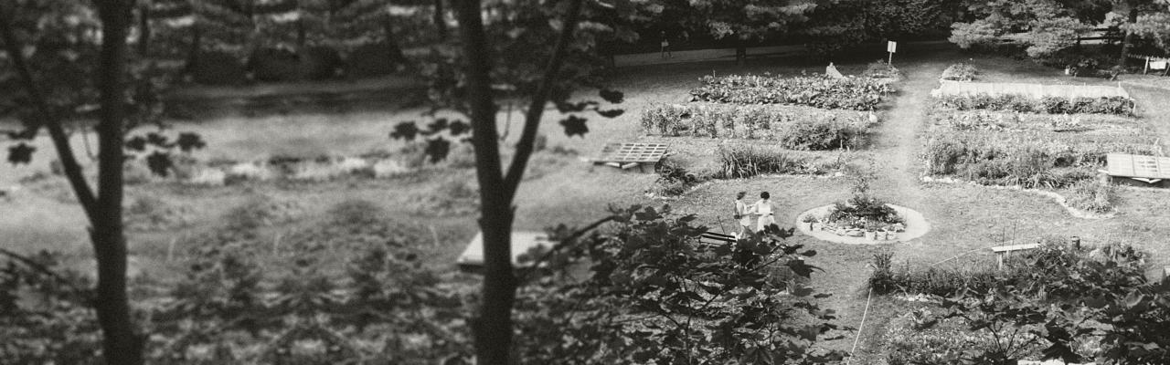 Historical B&amp;W photo of Omega gardens