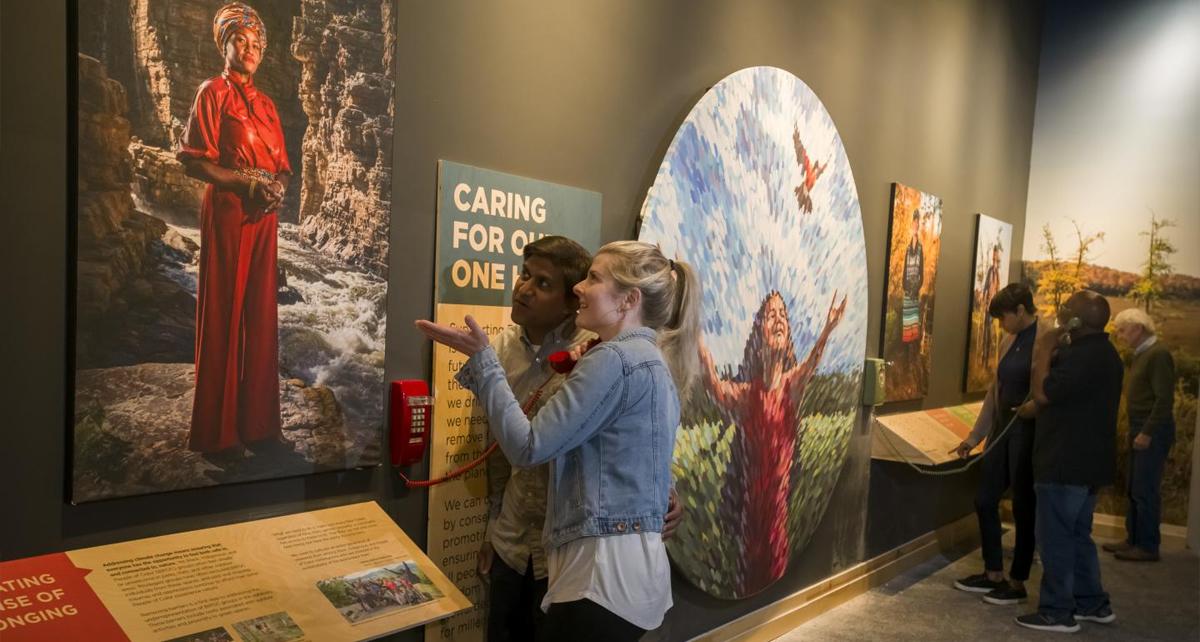 People looking at an exhibit at the Wild Center