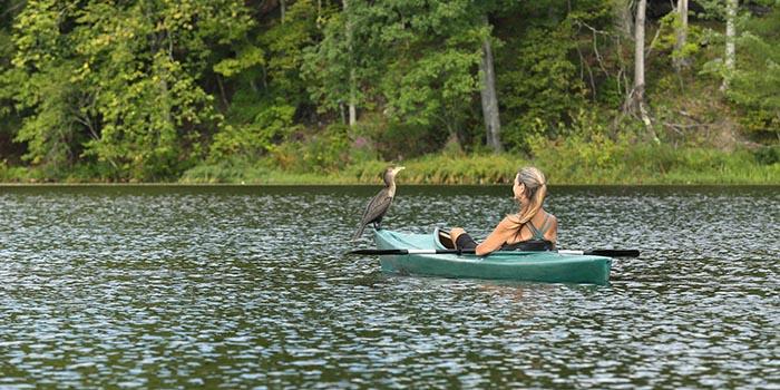 Omega_LakeKayakBird_1_700x350