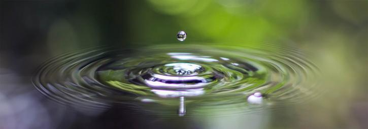 Water ripple from a single droplet representing mindfulness practice and awareness at Omega Institute